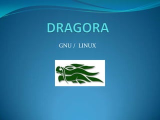 DRAGORA  GNU /  LINUX 