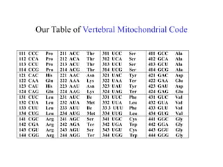 p-ADIC APPROACH TO THE GENETIC CODE AND THE GENOME | PPT