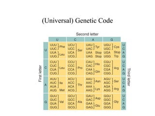 Universal Genetic Code Software p-ADIC APPROACH TO THE GENETIC CODE AND THE GENOME | PPT