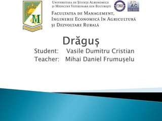 Student: Vasile Dumitru Cristian
Teacher: Mihai Daniel Frumușelu
 