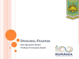 DRAGUSUL-FAGARAS
Elev:Spinache Stefan
Profesor:Frumuselu Daniel
 