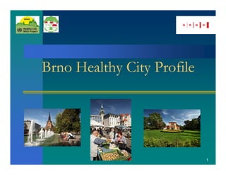 Brno Healthy City Profile




                            1
 