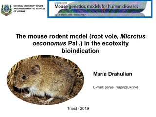 The mouse rodent model (root vole, Microtus
oeconomus Pall.) in the ecotoxity
bioindication
Triest - 2019
Maria Drahulian
E-mail: parus_major@ukr.net
 