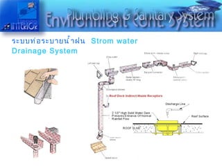 ระบบท่อระบายน้ำฝน   Strom water Drainage System 