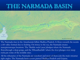 The Narmada rises in the Amarkantak hillsin Madhya Pradesh. It flows towards the westin
a rift valley formed due to faulting. On itsway to the sea, the Narmada creates
manypicturesque locations. The ‘Marble rocks’,near Jabalpur where the Narmada
flowsthrough a deep gorge, and the ‘Dhuadharfalls’ where the river plunges over steep
rocks,are some of the notable ones.
All the tributaries of the Narmada are veryshort and most of these join the main streamat
right angles. The Narmada basin covers partsof Madhya Pradesh and Gujarat.
 