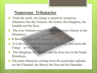 Numerous Tributaries
 From the north, the Ganga is joined by numerous
tributaries like-the Yamuna, the Gomti, the Ghaghara, the
Gandak and the Kosi.
 The river Yamuna rises from the Yamunotri Glacier in the
Himalayas.
 It flows parallel to the Ganga.
 It is the right bank tributaries of the Ganga and meets the
Ganga at Allahabad.
 The Ghaghara, the Gandak and the Kosi rise in the Nepal
Himalayas.
 The main tributaries coming from the peninsular uplands,
are the Chambal, the Betwa, the Son and the Damodar.
 