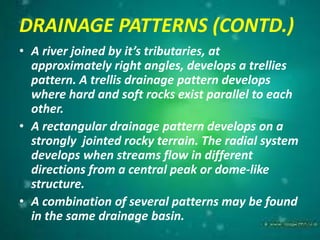 Drainage | PPTX