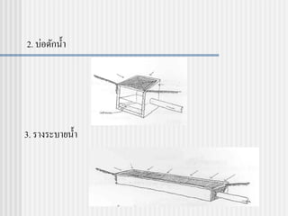 2. บ่อดักน้า
3. รางระบายน้า
 