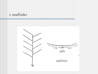 2. แบบก้างปลา
 