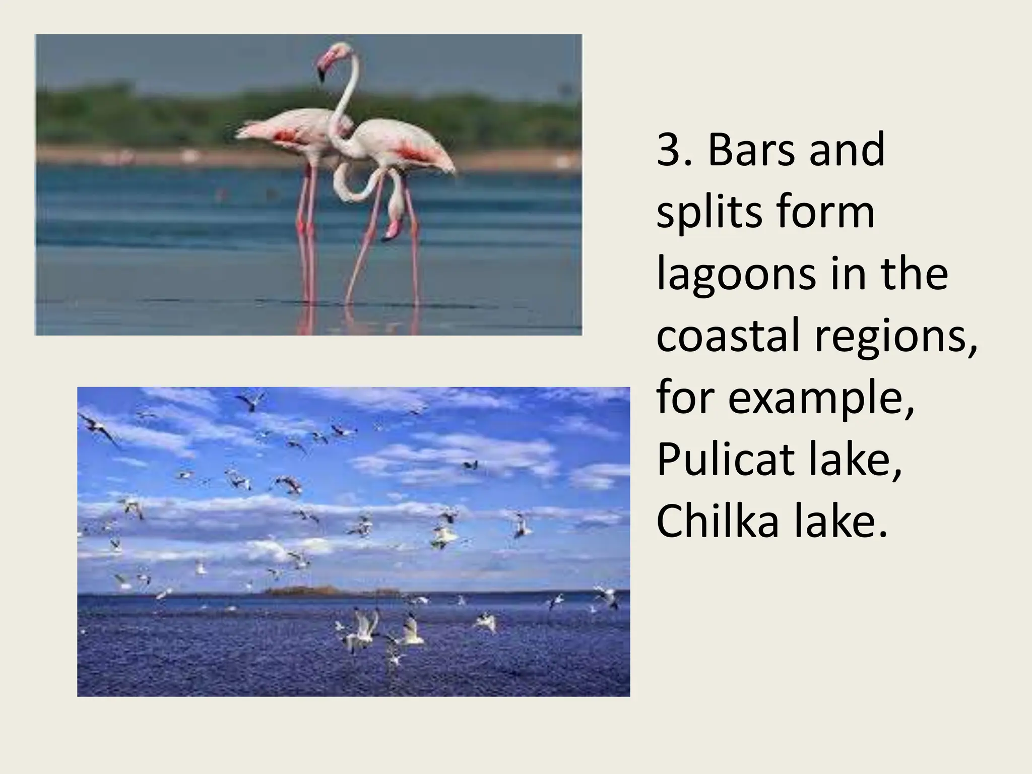 3. Bars and
splits form
lagoons in the
coastal regions,
for example,
Pulicat lake,
Chilka lake.
 