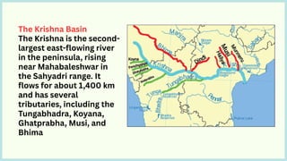 The Krishna Basin
The Krishna is the second-
largest east-flowing river
in the peninsula, rising
near Mahabaleshwar in
the Sahyadri range. It
flows for about 1,400 km
and has several
tributaries, including the
Tungabhadra, Koyana,
Ghatprabha, Musi, and
Bhima
 