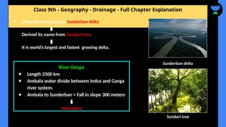 Class 9th - Geography - Drainage - Full Chapter Explanation
● These Rivers forms the Sundarban delta.
Derived its name from Sundari tree.
It is world’s largest and fastest growing delta.
River Ganga
● Length 2500 km
● Ambala water divide between Indus and Ganga
river system.
● Ambala to Sunderban = Fall in slope 300 meters
Meanders
Sunderban delta
Sundari tree
 