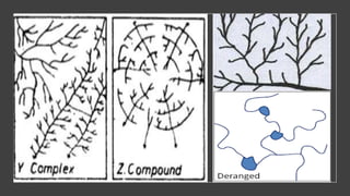 Drainage pattern and their significance | PPTX