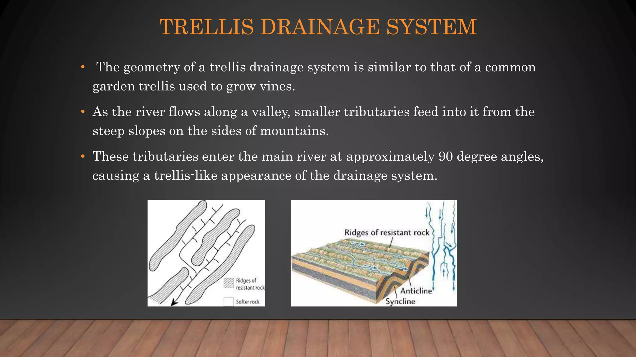 TRELLIS DRAINAGE SYSTEM
• The geometry of a trellis drainage system is similar to that of a common
garden trellis used to grow vines.
• As the river flows along a valley, smaller tributaries feed into it from the
steep slopes on the sides of mountains.
• These tributaries enter the main river at approximately 90 degree angles,
causing a trellis-like appearance of the drainage system.
 