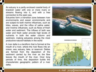An estuary is a partly enclosed coastal body of
brackish water with one or more rivers or
streams flowing into it, and with a free
connection to the open sea.
Estuaries form a transition zone between river
environments and ocean environments and
are subject to both marine influences, such as
tides, waves, and the influx of saline water;
and riverine influences, such as flows of fresh
water and sediment. The inflows of both sea
water and fresh water provide high levels of
nutrients in both the water column and
sediment, making estuaries among the most
productive natural habitats in the world
A river delta is a landform that is formed at the
mouth of a river, where the river flows into an
ocean, sea, estuary, lake, or reservoir. Deltas
are formed from the deposition of the
sediment carried by the river as the flow
leaves the mouth of the river. Over long
periods of time, this deposition builds the
characteristic geographic pattern of a river
delta.
 
