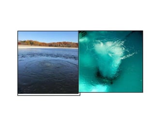 Drain Bioremediation and waste water Presentation | PDF