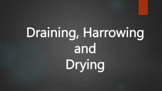 Draining, Harrowing
and
Drying
 