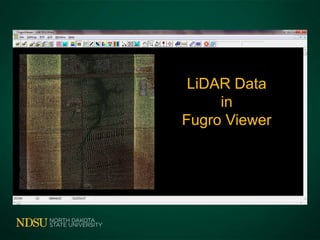 LiDAR Data
in
Fugro Viewer
 