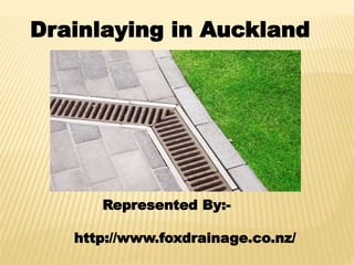 Drainlaying in Auckland
Represented By:-
http://www.foxdrainage.co.nz/
 