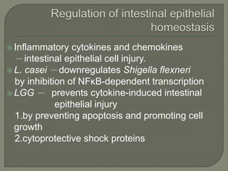  Inflammatory cytokines and chemokines
－intestinal epithelial cell injury.
 L. casei －downregulates Shigella flexneri
by inhibition of NFκB-dependent transcription
 LGG － prevents cytokine-induced intestinal
epithelial injury
1.by preventing apoptosis and promoting cell
growth
2.cytoprotective shock proteins
 