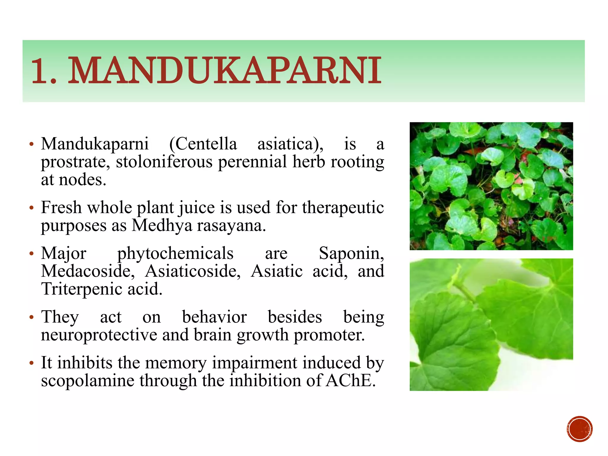 ROLE OF MEDHYA RASAYANA IN SHORT TERM MEMORY BYDR AJITH KUMAR | PPT