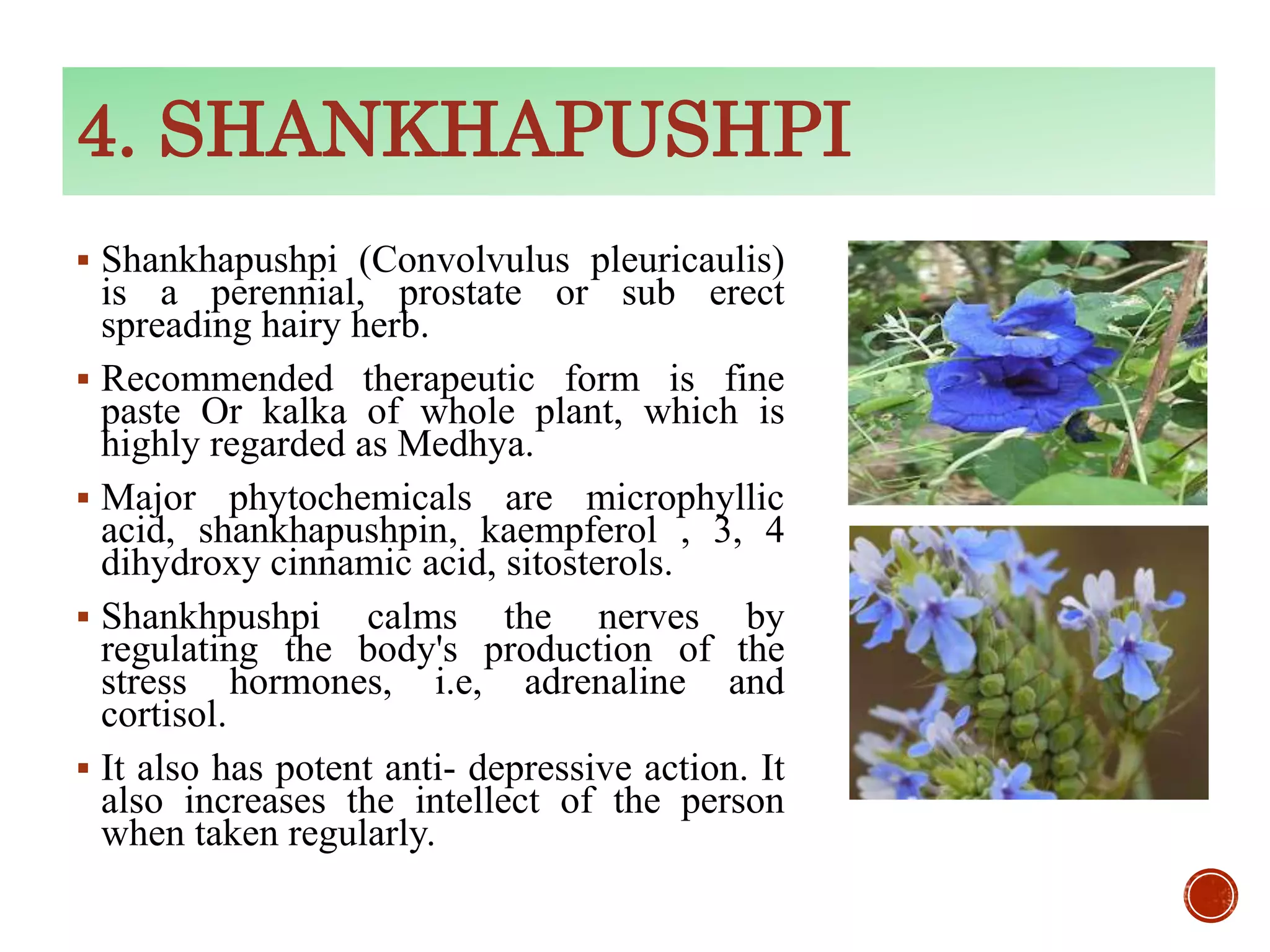 ROLE OF MEDHYA RASAYANA IN SHORT TERM MEMORY BYDR AJITH KUMAR | PPT
