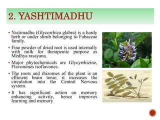 ROLE OF MEDHYA RASAYANA IN SHORT TERM MEMORY BYDR AJITH KUMAR | PPT