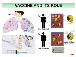 ROLE OF IMMUNOLOGY AND VACCINATION IN TUBERCULOSIS BY DR AJITH | PPT