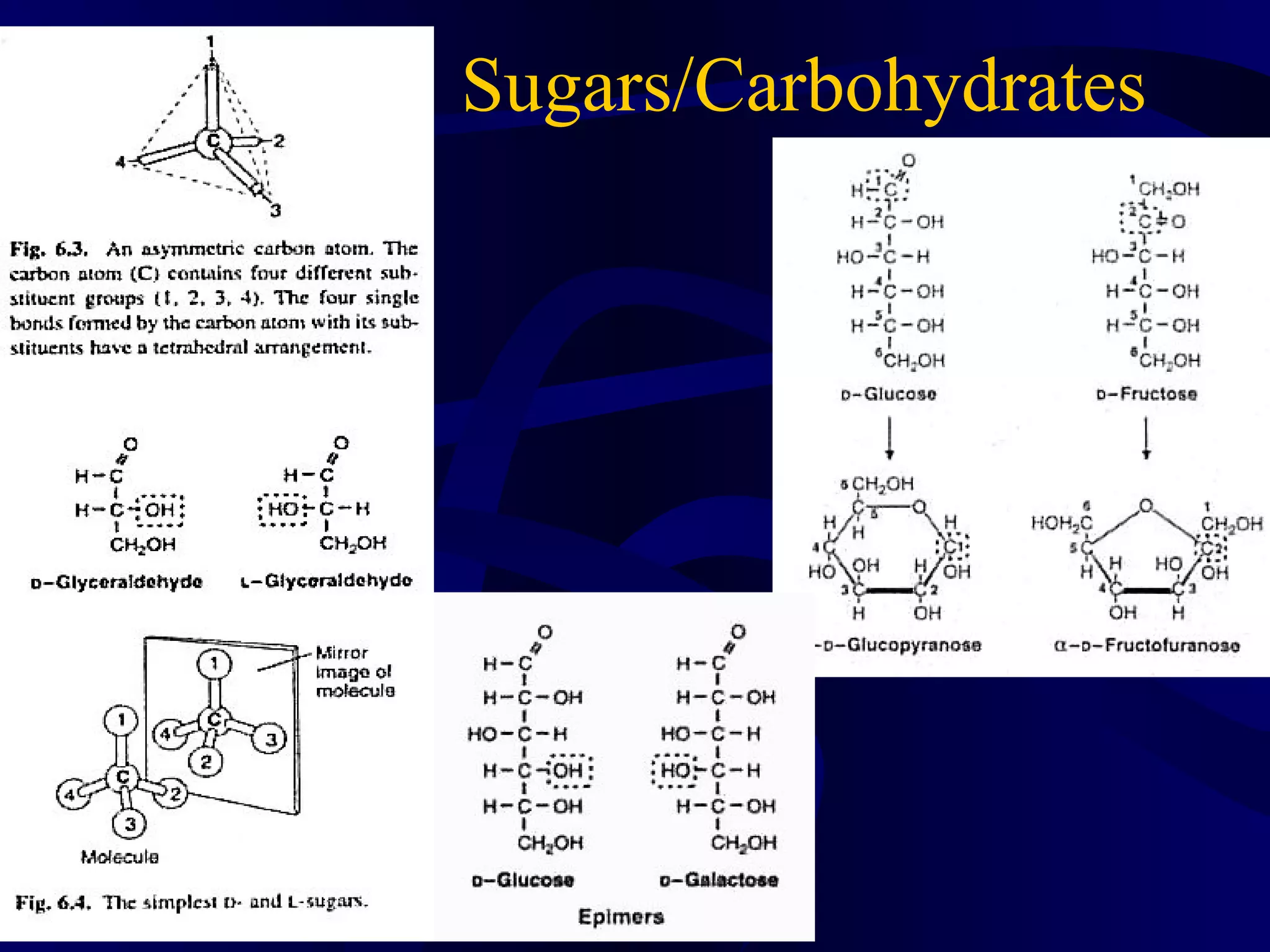 Sugars/Carbohydrates
 