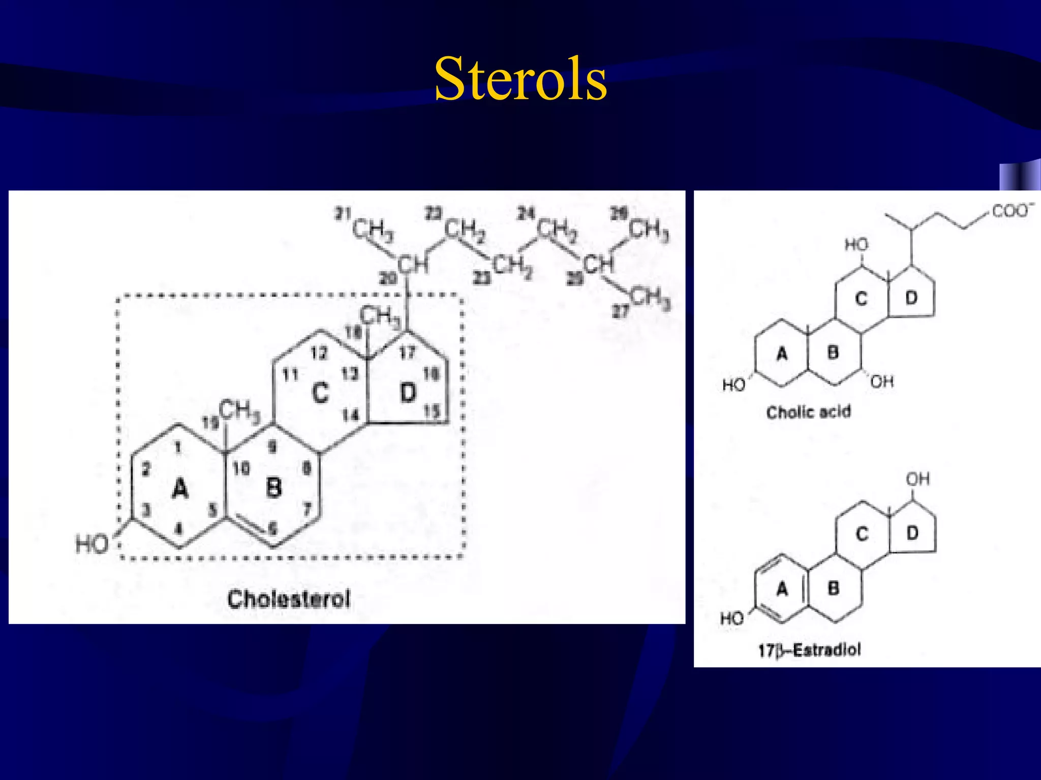 Sterols
 