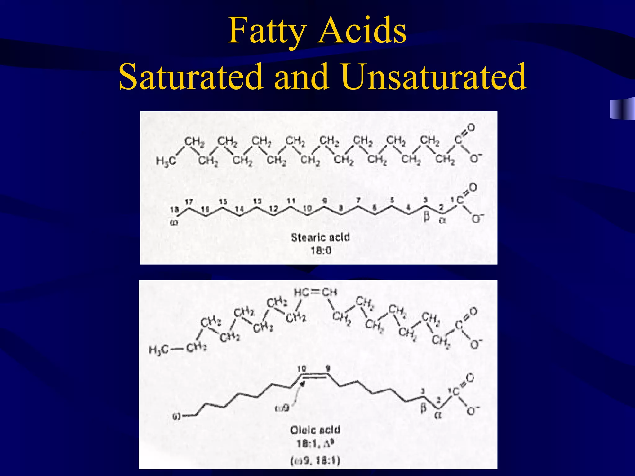 Fatty Acids
Saturated and Unsaturated
 