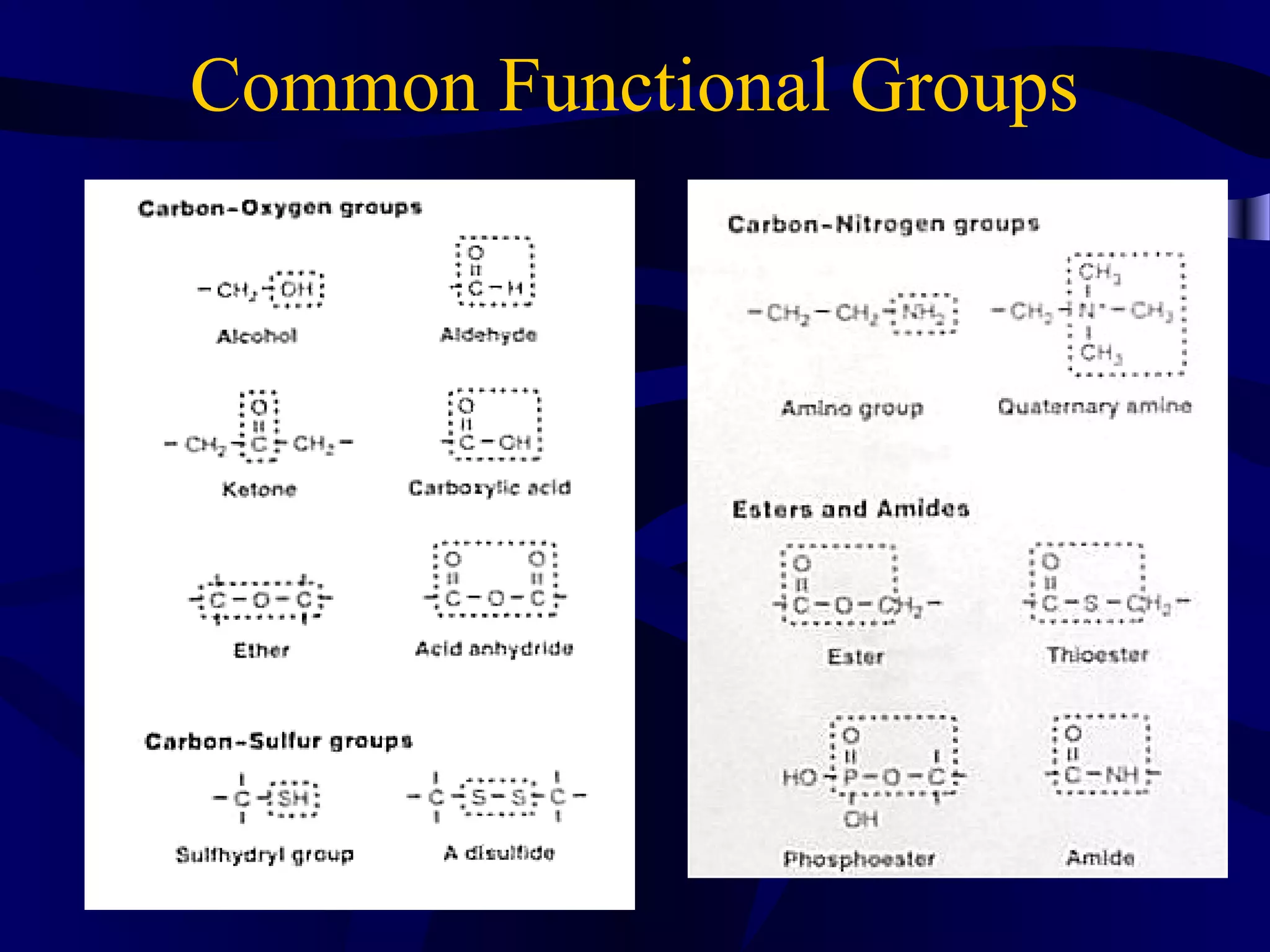 Common Functional Groups
 