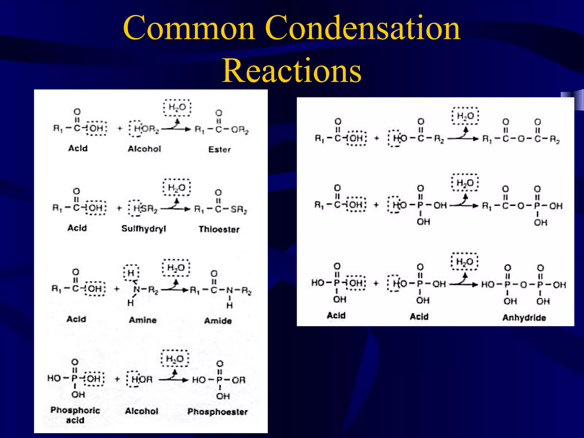 Common Condensation
Reactions
 