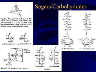 Sugars/Carbohydrates
 