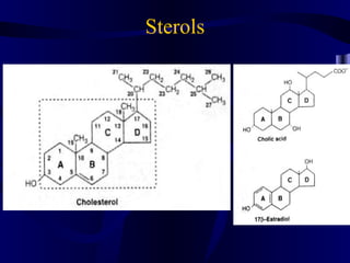 Sterols
 