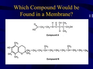 Which Compound Would be
Found in a Membrane?
 