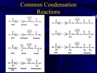 Common Condensation
Reactions
 