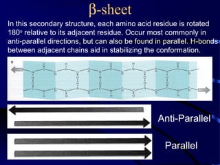 Biomolecules: Peptides and Proteins | PPT