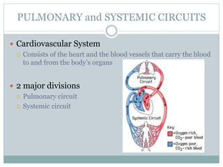 PULMONARY and SYSTEMIC CIRCUITS
 Cardiovascular System
 Consists of the heart and the blood vessels that carry the blood
to and from the body’s organs
 2 major divisions
 Pulmonary circuit
 Systemic circuit
 