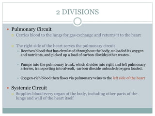 2 DIVISIONS
 Pulmonary Circuit
 Carries blood to the lungs for gas exchange and returns it to the heart
 The right side of the heart serves the pulmonary circuit
 Receives blood that has circulated throughout the body, unloaded its oxygen
and nutrients, and picked up a load of carbon dioxide/other wastes.
 Pumps into the pulmonary trunk, which divides into right and left pulmonary
arteries, transporting into alveoli, carbon dioxide unloaded/oxygen loaded.
 Oxygen-rich blood then flows via pulmonary veins to the left side of the heart
 Systemic Circuit
 Supplies blood every organ of the body, including other parts of the
lungs and wall of the heart itself
 