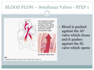  Blood is pushed
against the AV
valve which closes
and it pushes
against the SL
valve which opens
BLOOD FLOW – Semilunar Valves - STEP 1
 