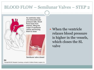  When the ventricle
relaxes blood pressure
is higher in the vessels,
which closes the SL
valve
BLOOD FLOW – Semilunar Valves – STEP 2
 