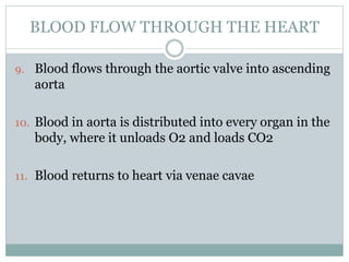 9. Blood flows through the aortic valve into ascending
aorta
10. Blood in aorta is distributed into every organ in the
body, where it unloads O2 and loads CO2
11. Blood returns to heart via venae cavae
BLOOD FLOW THROUGH THE HEART
 