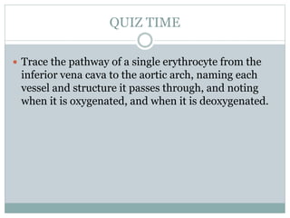 QUIZ TIME
 Trace the pathway of a single erythrocyte from the
inferior vena cava to the aortic arch, naming each
vessel and structure it passes through, and noting
when it is oxygenated, and when it is deoxygenated.
 
