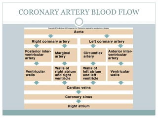 CORONARY ARTERY BLOOD FLOW
 