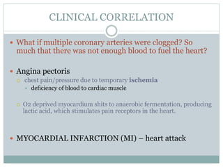CLINICAL CORRELATION
 What if multiple coronary arteries were clogged? So
much that there was not enough blood to fuel the heart?
 Angina pectoris
 chest pain/pressure due to temporary ischemia
 deficiency of blood to cardiac muscle
 O2 deprived myocardium shits to anaerobic fermentation, producing
lactic acid, which stimulates pain receptors in the heart.
 MYOCARDIAL INFARCTION (MI) – heart attack
 