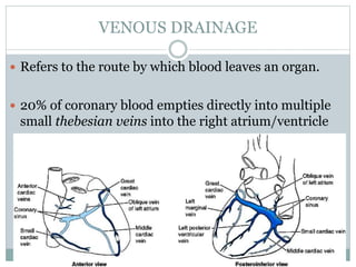 VENOUS DRAINAGE
 Refers to the route by which blood leaves an organ.
 20% of coronary blood empties directly into multiple
small thebesian veins into the right atrium/ventricle
 