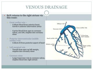 VENOUS DRAINAGE
 80% returns to the right atrium via
this route:
 Great cardiac vein –
 Collects blood from anterior heart,
travels w.anterior interventric artery
 Carries blood from apex to coronary
sulcus, arcs left, empties into coronary
sinus
 Posterior interventricular (middle
cardiac) vein
 Collects bl from posterior aspect of heart
 Left marginal vein
 Travels from apex up left margin,
empties into coronary sinus
 Coronary sinus
 Large transverse vein in coronary sulcus,
empties blood into right atrium
 