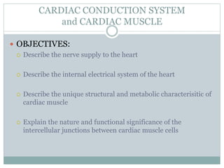 CARDIAC CONDUCTION SYSTEM
and CARDIAC MUSCLE
 OBJECTIVES:
 Describe the nerve supply to the heart
 Describe the internal electrical system of the heart
 Describe the unique structural and metabolic characterisitic of
cardiac muscle
 Explain the nature and functional significance of the
intercellular junctions between cardiac muscle cells
 