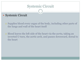 Systemic Circuit
 Systemic Circuit
 Supplies blood every organ of the body, including other parts of
the lungs and wall of the heart itself
 Blood leaves the left side of the heart via the aorta, taking an
inverted U-turn, the aortic arch, and passes downward, dorsal to
the heart
 